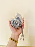Silver acrylic clutch