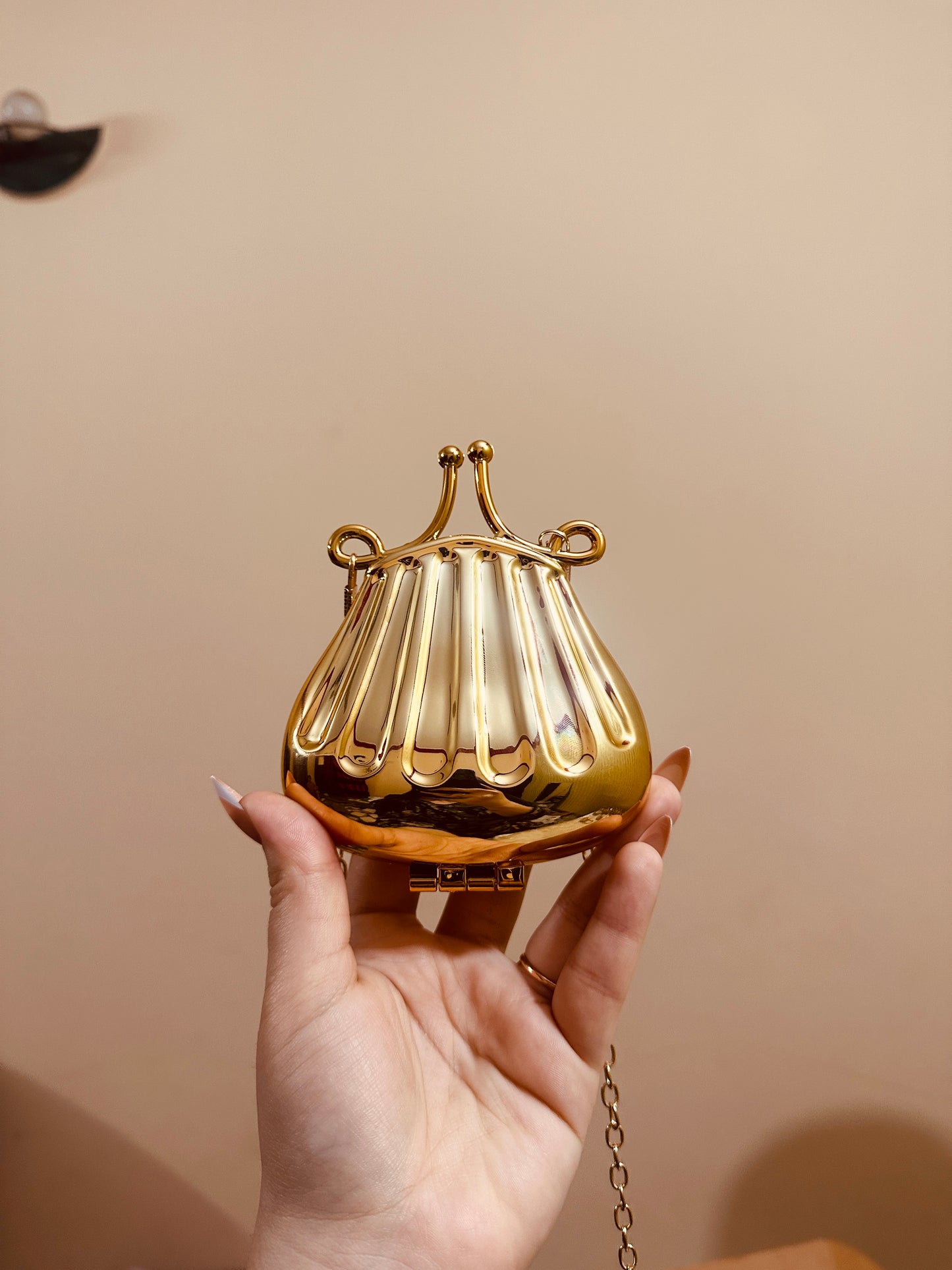 Mini purse 👛
